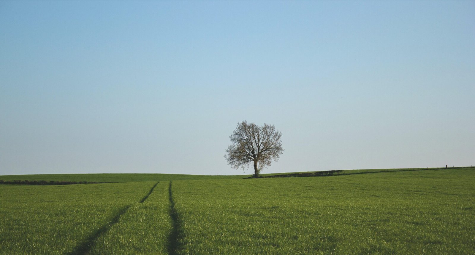 page-header-bg-1-1